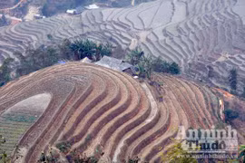 Chuyện đói - no ở nơi ruộng bậc thang được "phong hàm" di tích