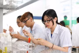 Có chứng chỉ ngoại ngữ, thí sinh được ưu tiên xét tuyển dù thấp hơn điểm chuẩn tới 3 điểm