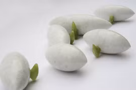 Quay lưng với các nghệ sĩ "chiêu trò"