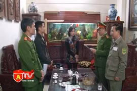 Thành lập công ty nạo vét lòng sông để khai thác cát trái phép 
