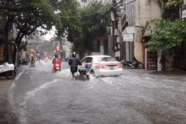 Hà Nội: 3 người bị thương, 100 cây xanh bị đổ trong cơn bão số 3