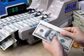 Đồng USD suy yếu, vì sao tỷ giá vẫn không ngừng “nóng” lên?