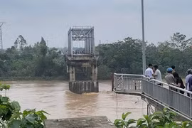 Cập nhật số liệu bồi thường bảo hiểm do bão số 3 và mưa lũ