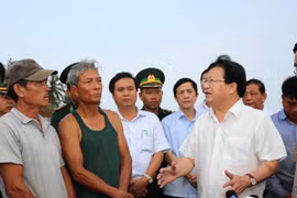 Vụ cá chết hàng loạt ở miền Trung: Lập đường dây nóng trong ngày 30-4
