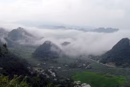 Kỳ hoa dị thảo ở "thung lũng mây"