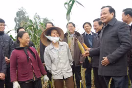 Đồng sức, đồng lòng - nông thôn mới sẽ thành công 