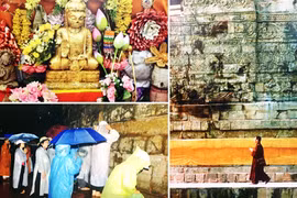 Trở về đất Phật