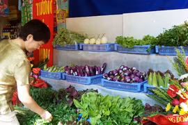 Lơ mơ về rau an toàn