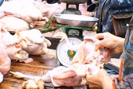 Giá gà tăng mạnh chưa từng thấy 