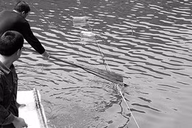 Vợ mê cờ bạc, bị chồng chặt xác phi tang