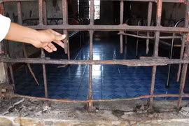 Trong thế giới người điên: Những éo le cuộc đời