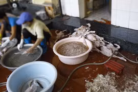 Hành vi gian dối - bơm nước tăng trọng lượng 
