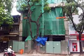 Đề nghị giảm trừ trên 789 tỷ đồng