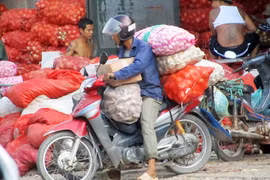 Nông sản Trung Quốc tập kết ở Bắc Ninh