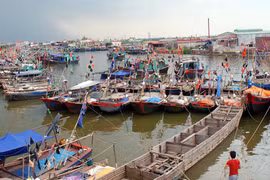 Khẩn trương ứng phó bão