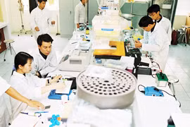 Khó đóng cửa đại học kém chất lượng