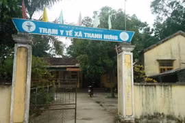 Đàn ong tấn công khiến 14 người phải đi cấp cứu