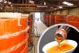Vinastas cải chính thông tin về kết quả khảo sát nước mắm