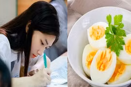 Tăng cường sức khỏe và trí nhớ cho sĩ tử mùa thi 