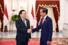 Việt Nam thúc đẩy quan hệ hữu nghị, hợp tác với các nước ở châu Á và Trung Đông 