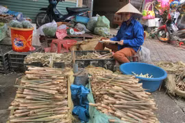 Ngọt - ngon măng sặt Yên Bái