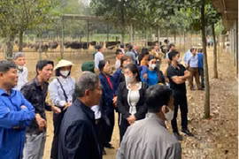 Cảnh báo 'Tour du lịch miễm phí 0 đồng' có dấu hiệu lừa đảo