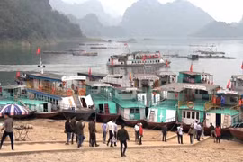Khởi tố một Giám đốc về tội “Trốn thuế”