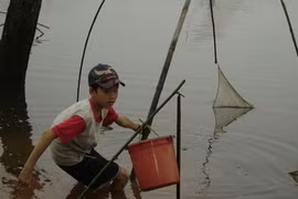 Trẻ em vùng lũ vất vả mưu sinh