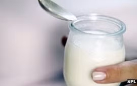 Mẹ ăn sữa chua ít béo, con dễ bị hen