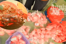 Ly kỳ vụ lừa đảo 6 kg vàng giả