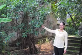 Thực hư ngọn núi chôn sống người đẹp ở Hà Nội