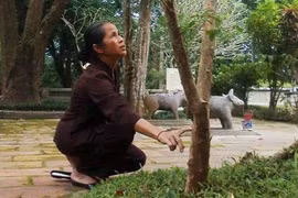 Ly kỳ chuyện những cây ổi biết… “cười”