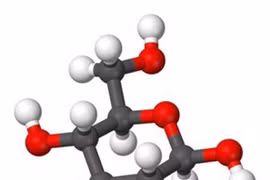Glucosamin – Thành phần thiết yếu trong hỗ trợ điều trị thoái hóa khớp.