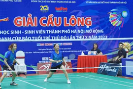 Những mùa giải chuyên nghiệp và giàu cảm xúc