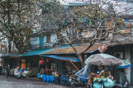 Phố nói