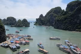 Giảm số tàu du lịch vì vịnh Hạ Long quá tải