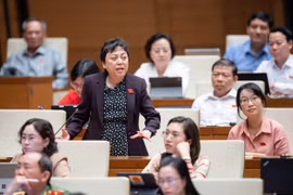 ĐBQH Phạm Khánh Phong Lan: Không cơ chế để bảo vệ người làm thì chúng ta sẽ tự làm khó mình