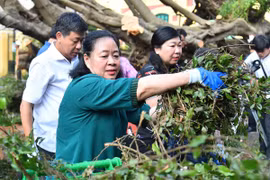 Bí thư, Phó Bí thư Thành ủy Hà Nội cùng nhân dân dọn dẹp cây đổ, vệ sinh môi trường