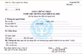 Làm giả giấy chứng nhận nghỉ việc hưởng bảo hiểm xã hội, một công nhân bị xử lý hình sự