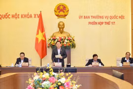 Kỳ họp bất thường lần hai của Quốc hội sẽ xem xét nội dung nào, diễn ra trước hay sau Tết?