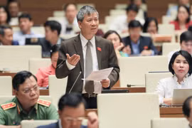 ĐBQH bày tỏ tâm tư trước hàng loạt sai phạm xảy ra ở ngành y tế