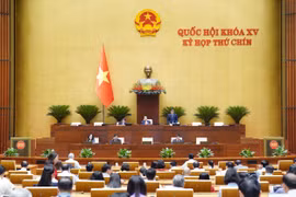 Tuần tới, Quốc hội thảo luận về sửa đổi Bộ luật Hình sự