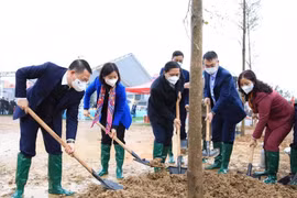 Hà Nội tổ chức kỷ niệm 1982 năm khởi nghĩa Hai Bà Trưng và phát động Tết trồng cây ở Mê Linh