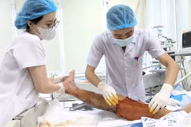 Chỉ từ một vết gai đâm, người đàn ông sốc nhiễm trùng suýt tử vong
