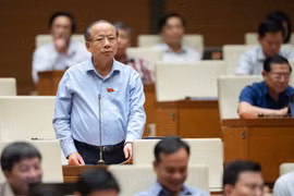 ĐBQH đề nghị giảm 2% thuế VAT đến hết năm 2024, tăng lương cho công chức