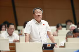 Luật Đất đai có hiệu lực sớm sẽ giải tỏa tình trạng cán bộ sợ sai, khơi thông nguồn lực