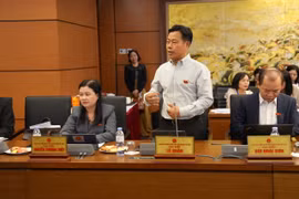 ĐBQH: Không sửa luật chứng khoán, rất khó để đặt niềm tin khi mang tiền cho người khác tiêu