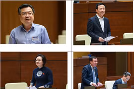 Tuần tới, Quốc hội chất vấn các thành viên Chính phủ