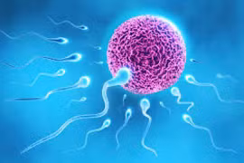 Nam giới điều trị vô sinh giảm lượng tinh trùng