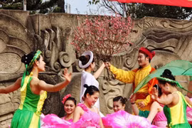 Tưng bừng trẩy hội 